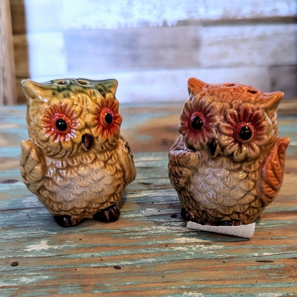 Cracker Barrel Whimsical Owl Set of Salt and Pepper Shakers - Picture 9 of 9